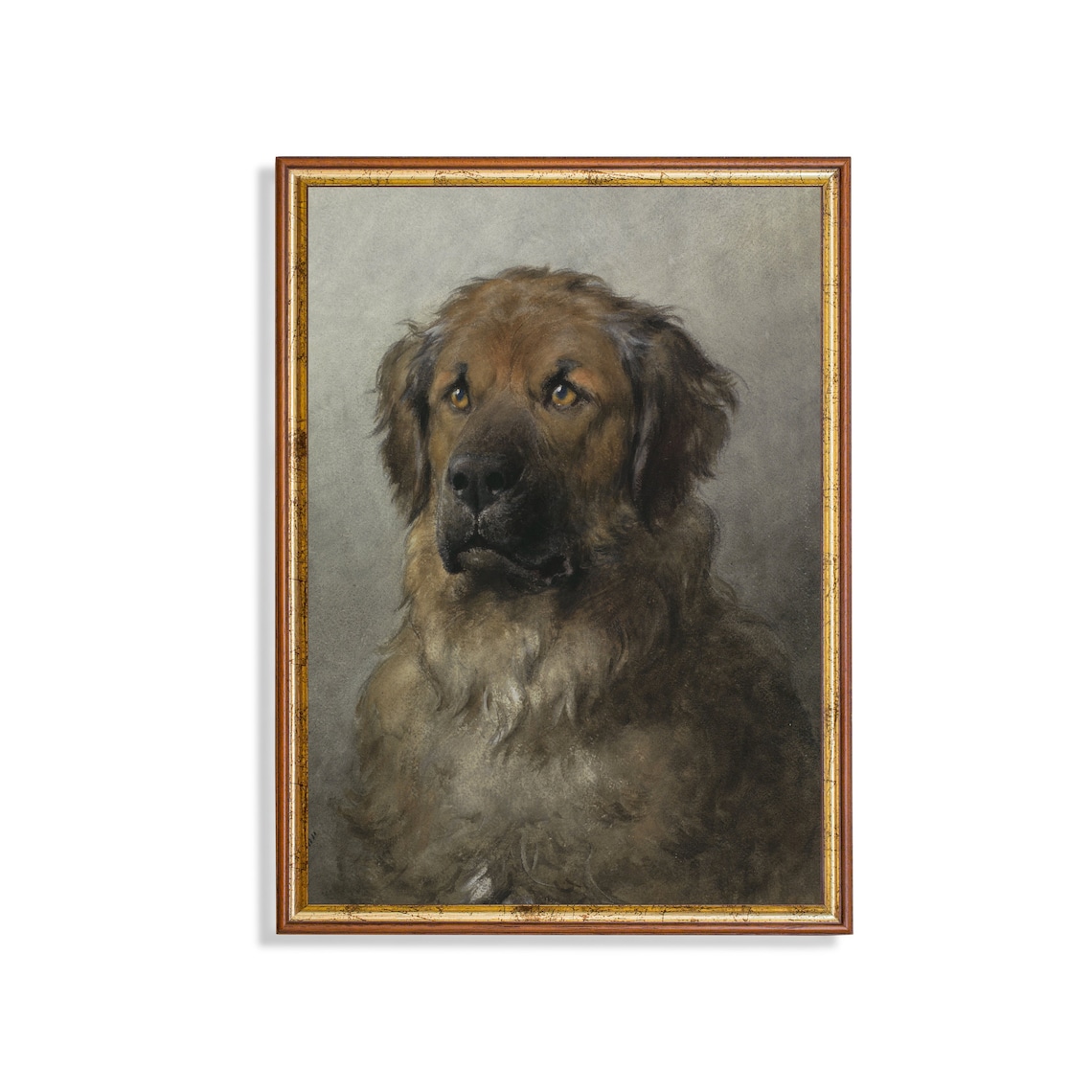 Leonberger Vintage Dog Portrait, Farmhouse Art Print