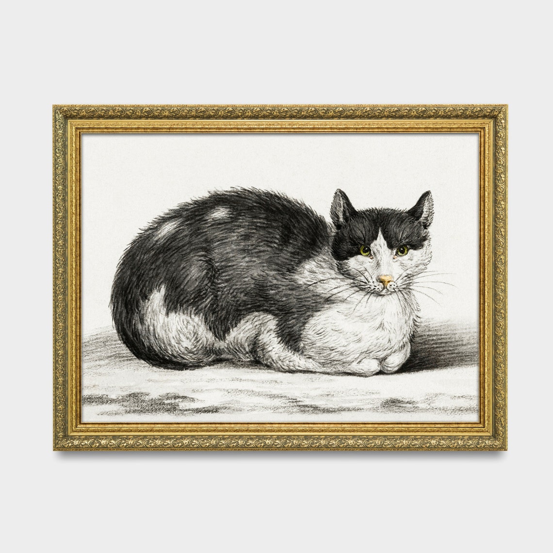 Vintage Black and White Cat Sketch Drawing Resting Loaf Wall Art - Image 3