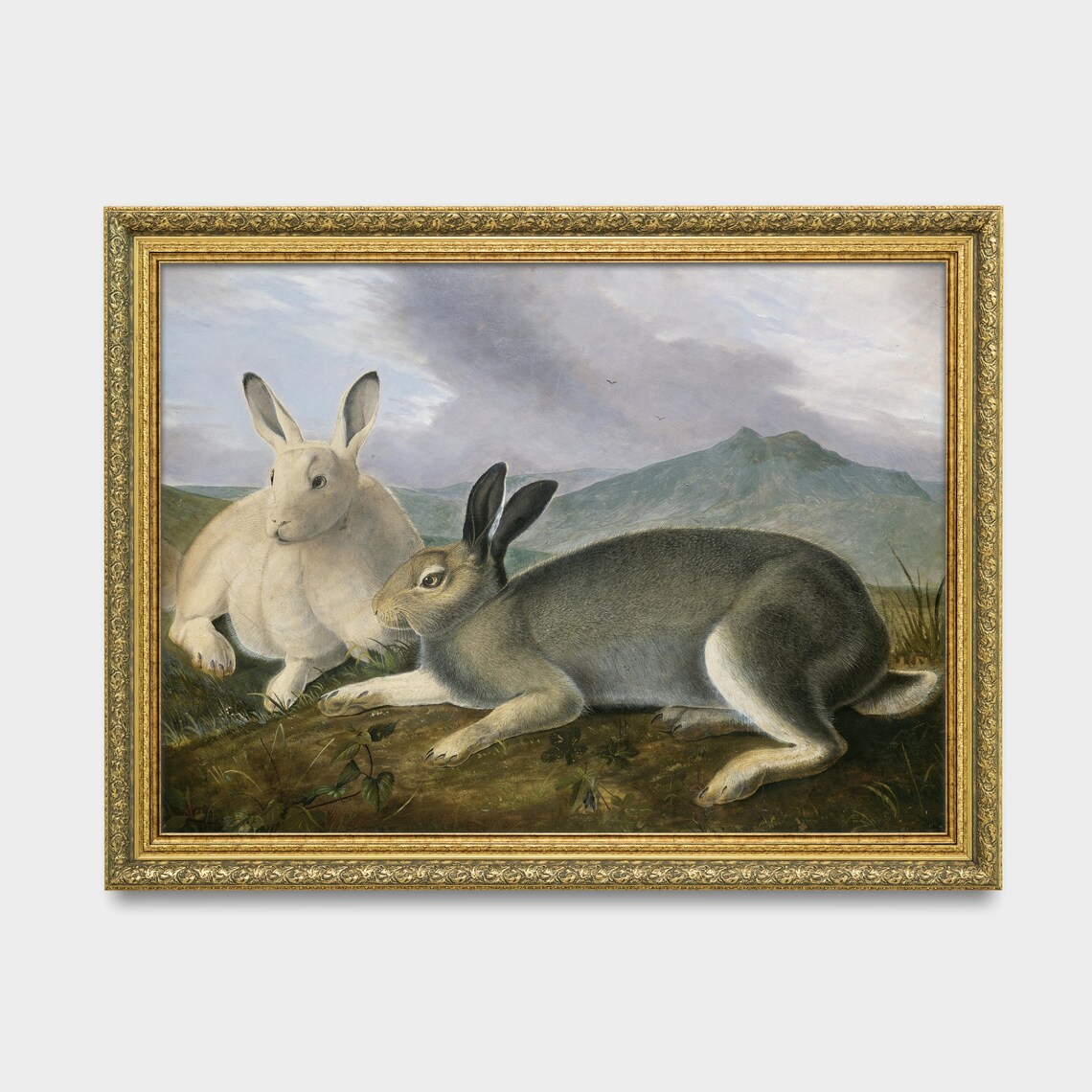 Two Hares Resting in Moorland Mountain Antique Animal Painting Poster - Image 3