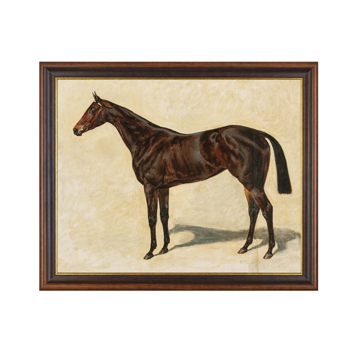 Dark Bay Horse Standing In Profile Vintage Equine Portrait Poster