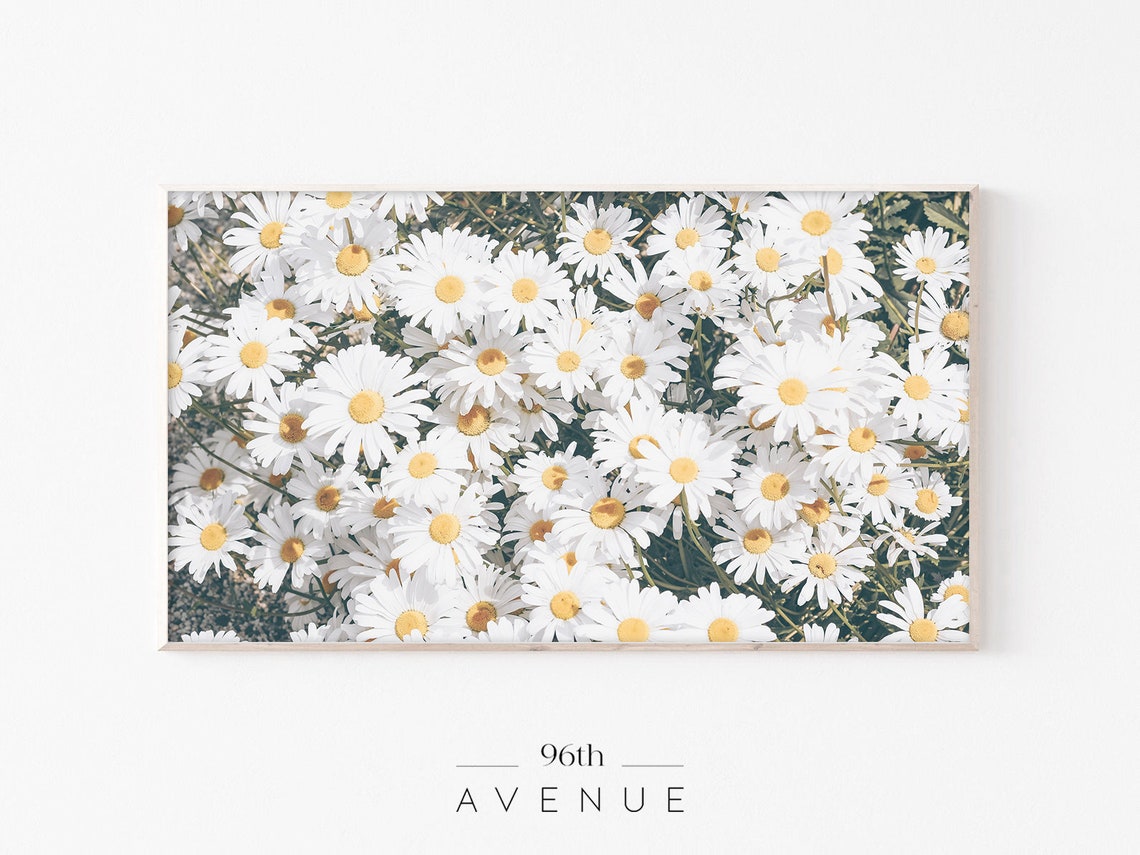 White Daisy Flower Field with Bright Yellow Centers Summer Poster