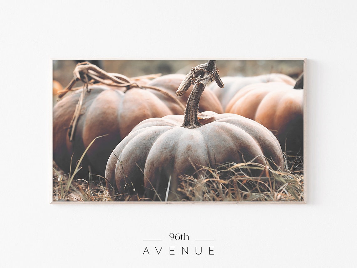 Rustic Pumpkins Halloween Art Print