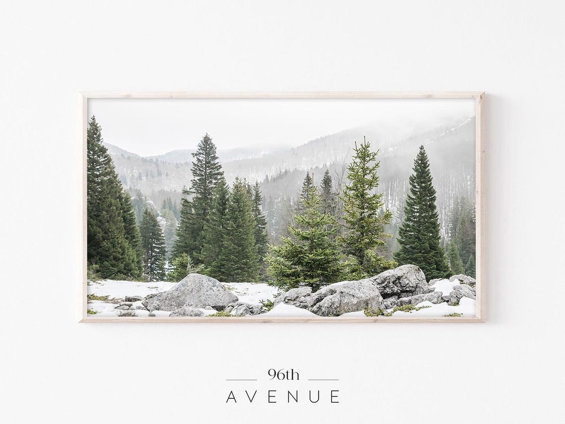 Snowy Pine Forest Rocky Hillside Winter Mountain Photo Poster
