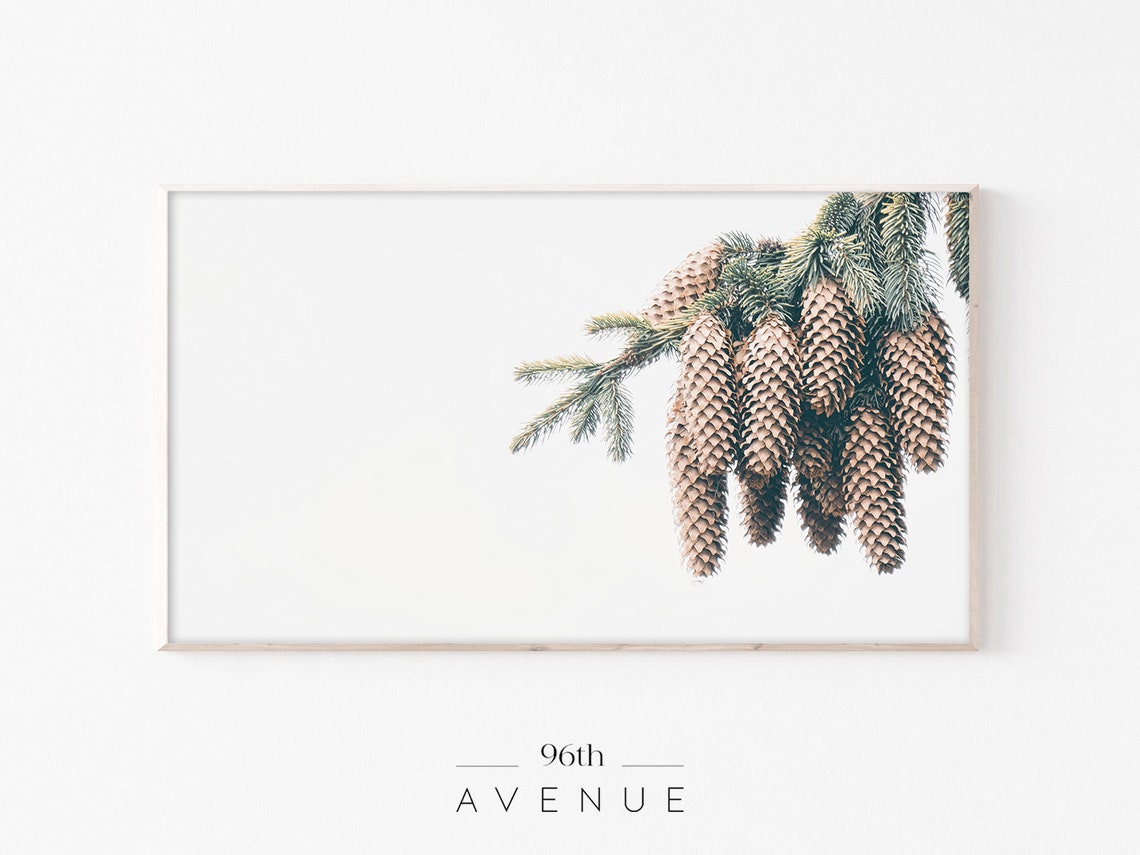 Pine Branch With Pine Cones Minimalist White Nature Art Poster