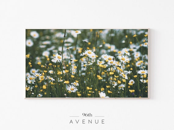 Daisy Field Spring Flowers Botanical Art Print
