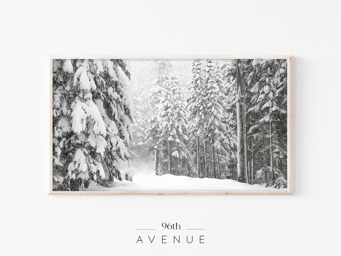 Heavy Snow Covered Evergreen Forest Winter Woodland Photo Poster