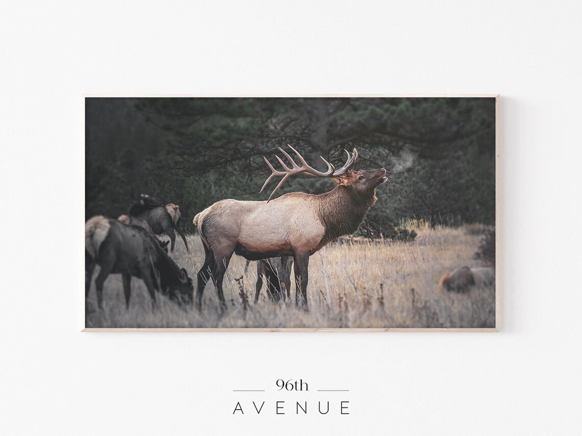 Reindeer Art, Scandi Winter Holiday Wall Art Print