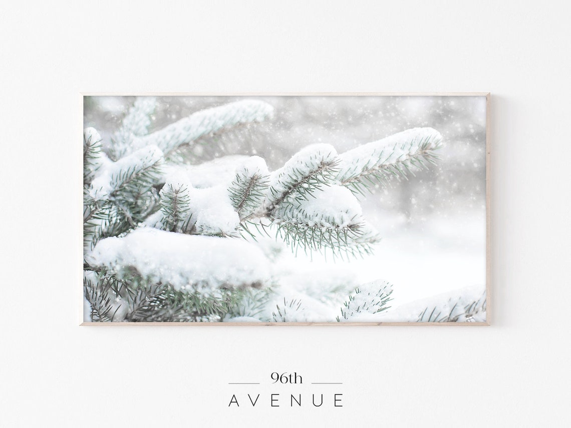 Snowy Pine Branches Close Up Minimalist Winter Photography Poster