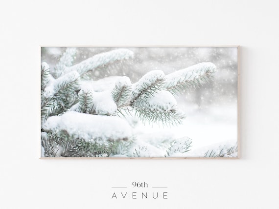 Snowy Pine Branches Close Up Minimalist Winter Photography Poster