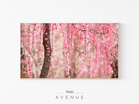 Spring Blossom Art for TV