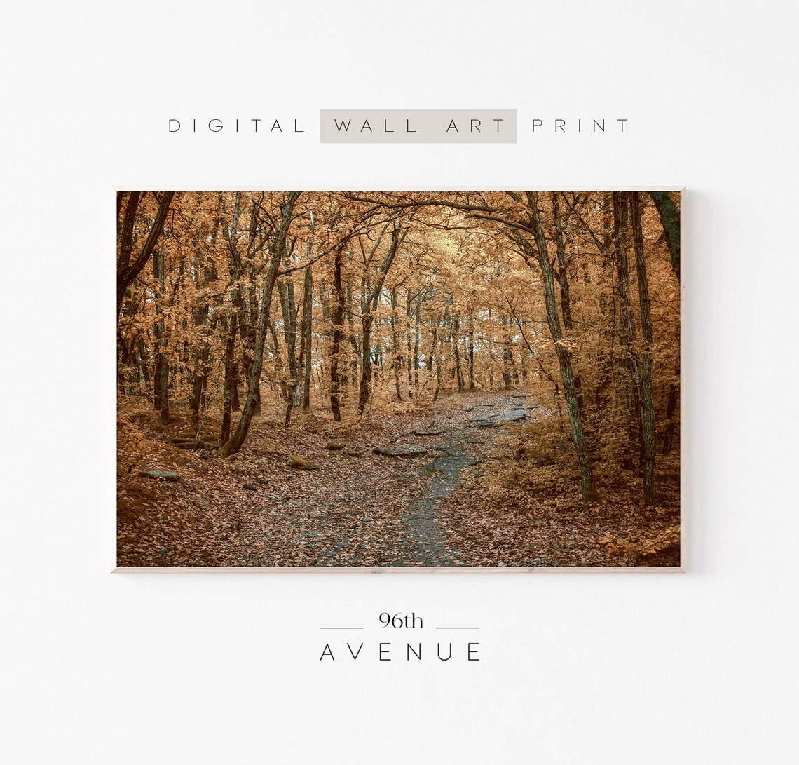 Autumn Forest Poster, Fall Photography