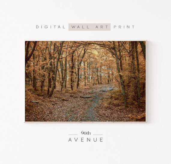 Autumn Forest Poster, Fall Photography