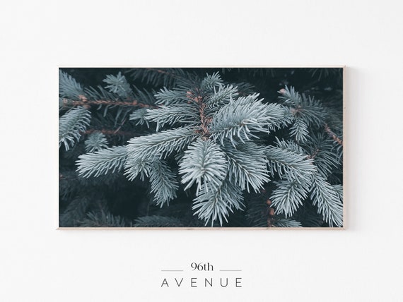 Pine Tree Branches TV Art