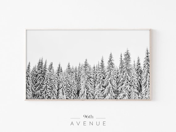 Winter Pine Tree Forest Art Print