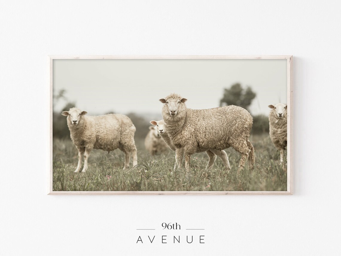 Sheep Flock Grazing Green Meadow Farmhouse Animal Scene Poster