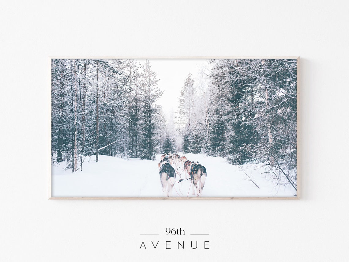 Husky Sled Dog Team Running Through a Snowy Forest Trail Poster