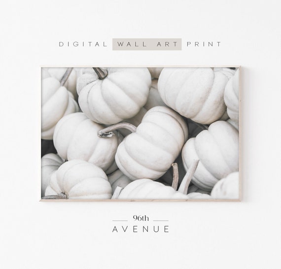White Pumpkin Fall Wall Art Print