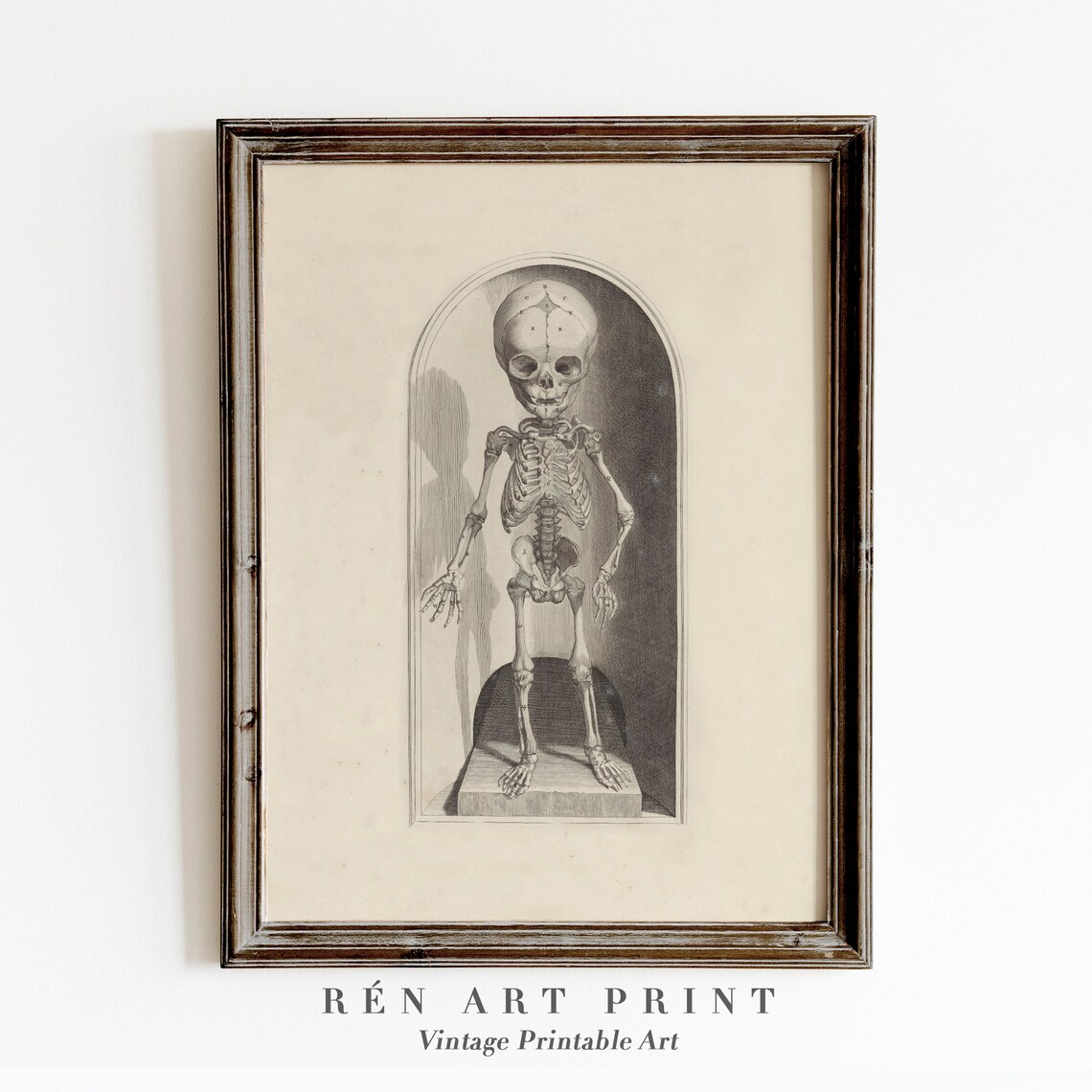 Skeleton Wall Art, Vintage Halloween Decor