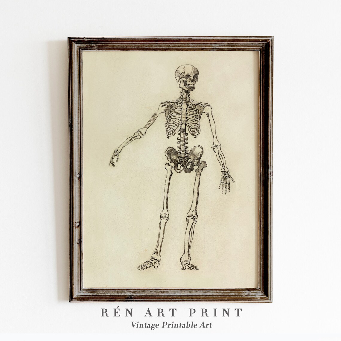 Skeleton Print, Vintage Halloween Art Print