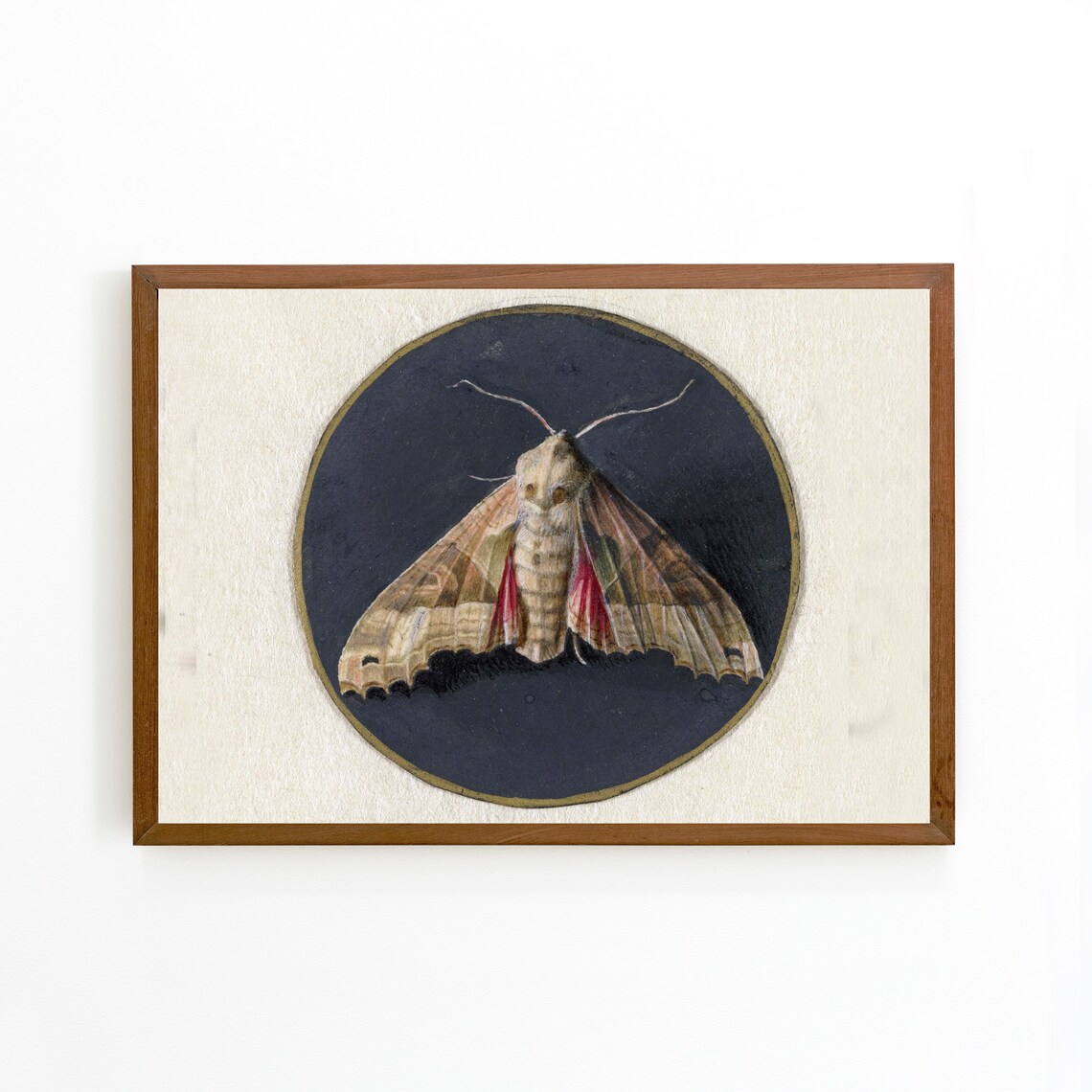 Vintage Moth Art Print, Dark Cottagecore Wall Art - Image 3