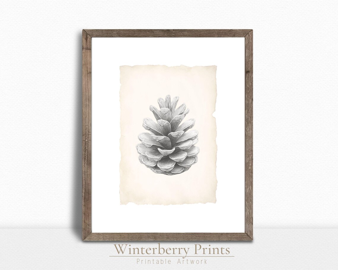 Pine Cone Pencil Sketch Aged Paper Minimalist Winter Botanical Art Print