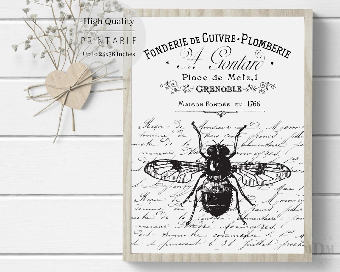 Black Bee French Script Typography Vintage Grenoble Black White Poster - Image 2