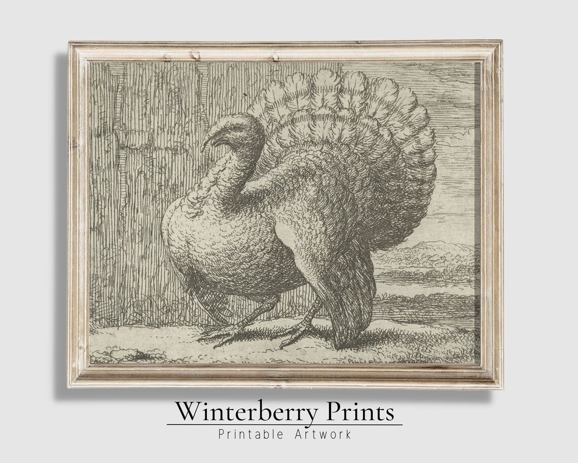 Vintage Thanksgiving Turkey Sketch Art Print - Image 3