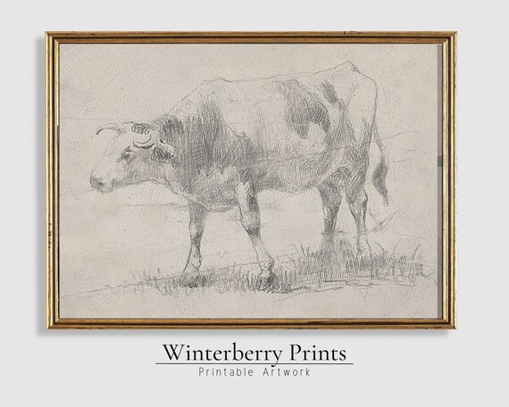 Standing Cow Pencil Sketch Vintage Farm Animal Drawing Wall Poster