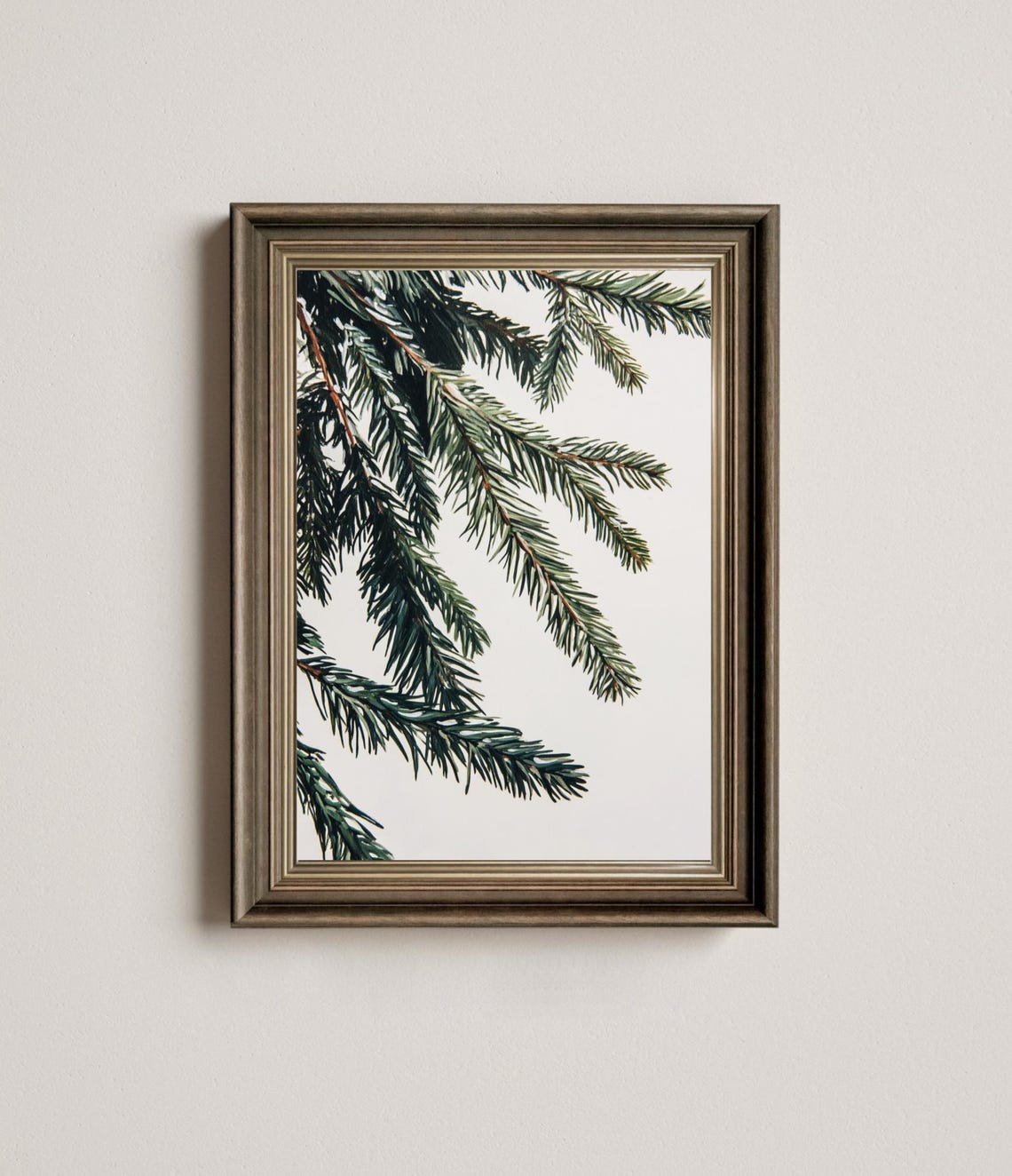 Pine Fir Branch Close Up Study Minimalist White Botanical Art Print - Image 2