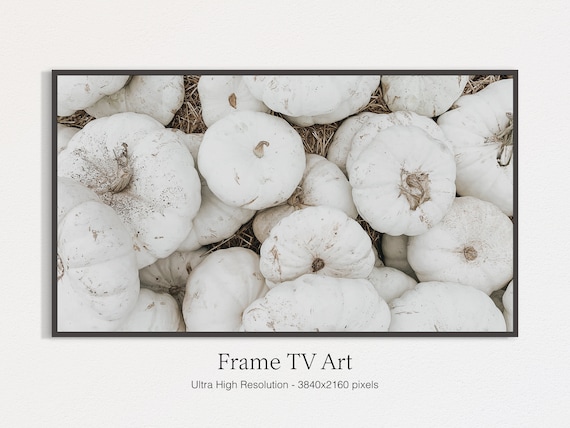 White Pumpkin Harvest Patch Rustic Fall Farmhouse Photo Print