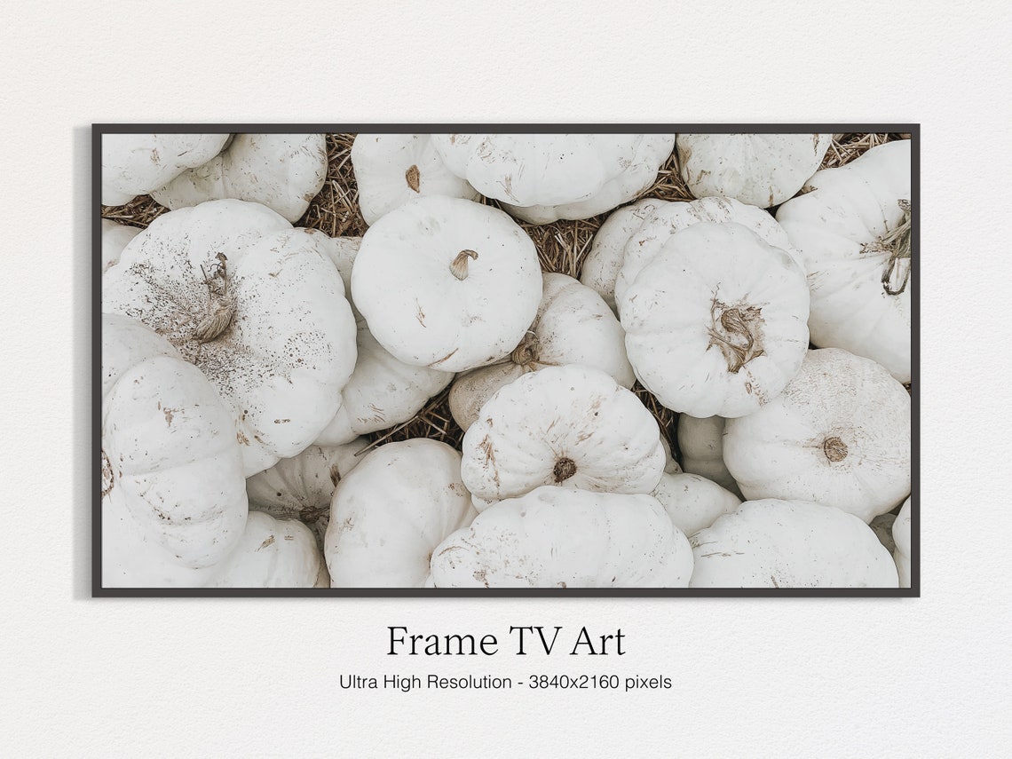 White Pumpkin Harvest Patch Rustic Fall Farmhouse Photo Print