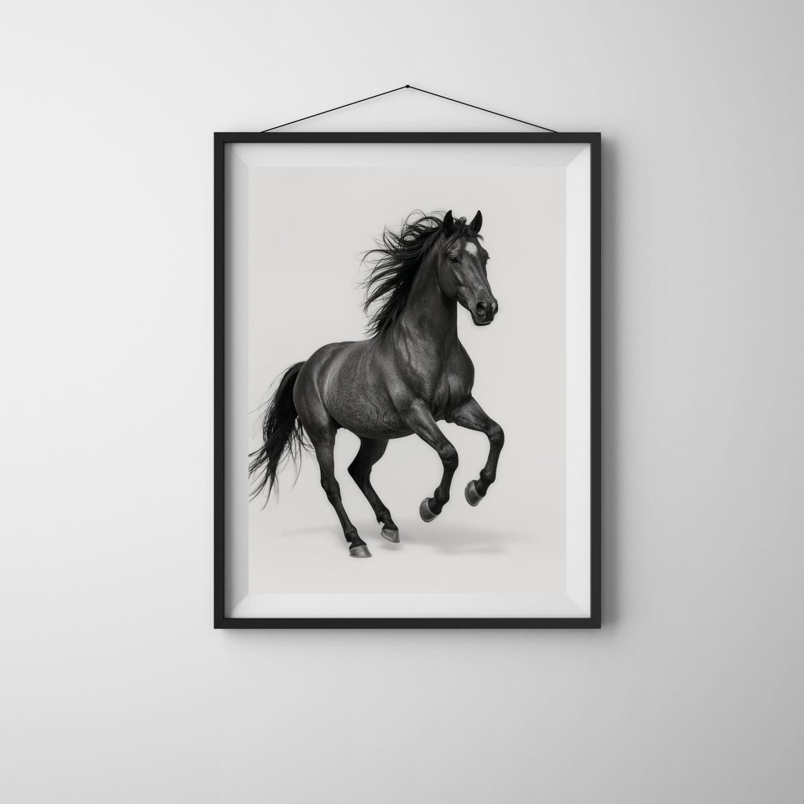 Black Stallion Rearing Up White Studio Background Equine Photo Poster