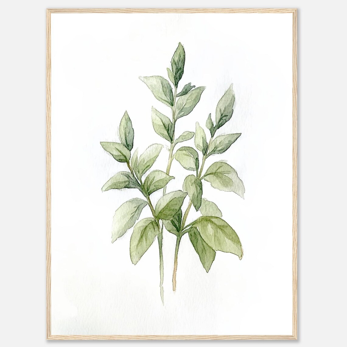 Basil Watercolor Print, Botanical Kitchen Wall Art