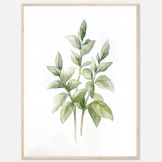 Basil Watercolor Print, Botanical Kitchen Wall Art