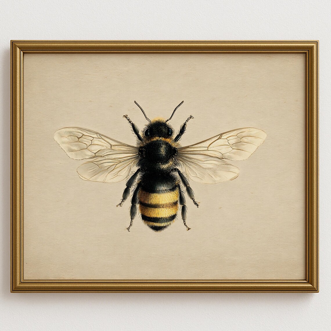 Vintage Honey Bee Illustration Botanical Insect Art Natural History Style Wall Decor