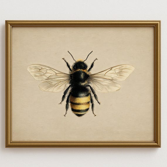 Vintage Honey Bee Illustration Botanical Insect Art Natural History Style Wall Decor