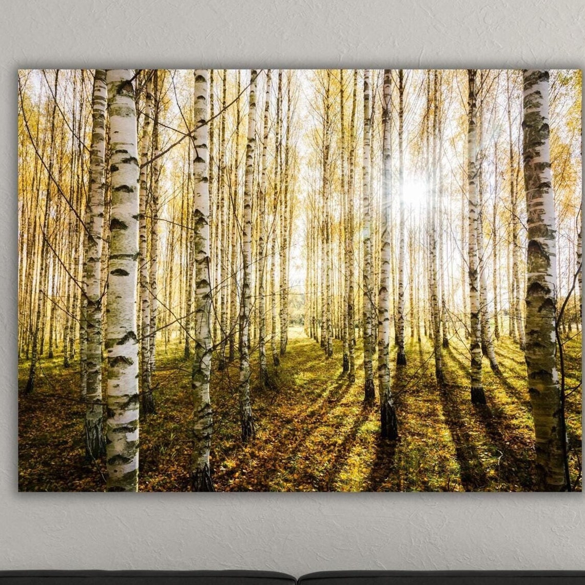 Birch Forest Sunlight Golden Autumn Nature Landscape Art Poster