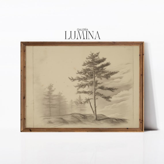 Pine Tree Lithographic Drawing Pine Tree Sketch Drawing Vintage Rustic Tree Sketch Neutral Tree Print Art Frame Tv Art 525