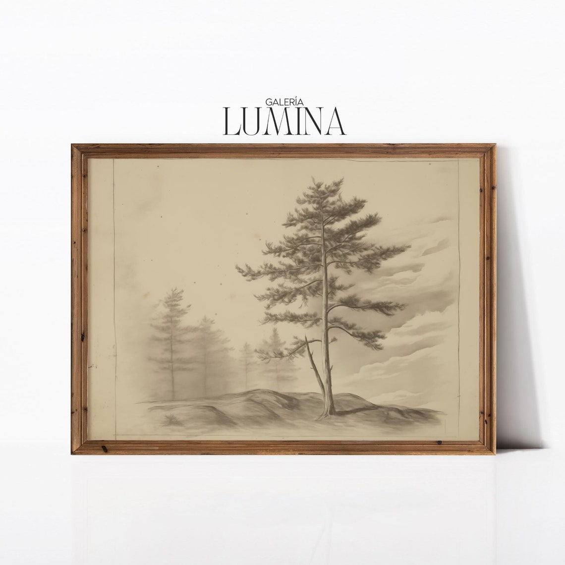 Pine Tree Lithographic Drawing Pine Tree Sketch Drawing Vintage Rustic Tree Sketch Neutral Tree Print Art Frame Tv Art 525