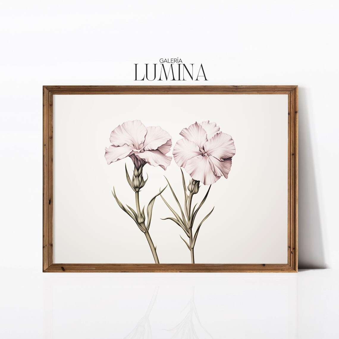Pink Carnation Flowers Botanical Pencil Drawing Artwork Poster