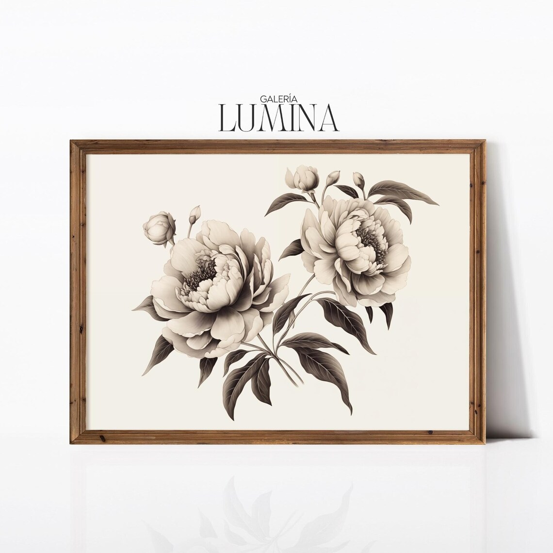Vintage Peonies Black and White Botanical Art Print