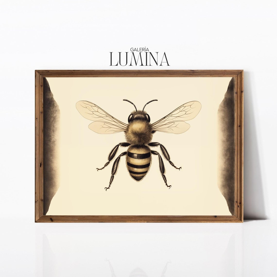 Honey Bee Drawing Nature Illustration Realistic Insect Artwork Bee Wall Art Botanical Animal Print Art Frame Tv Art 877
