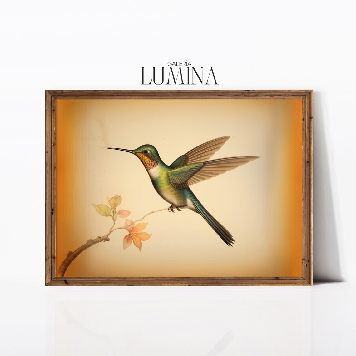Vintage Streamertail Hummingbird, Rustic Bird Art Print