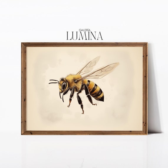Honey Bee Drawing Nature Illustration Realistic Insect Artwork Bee Wall Art Botanical Animal Print Art Frame Tv Art 853
