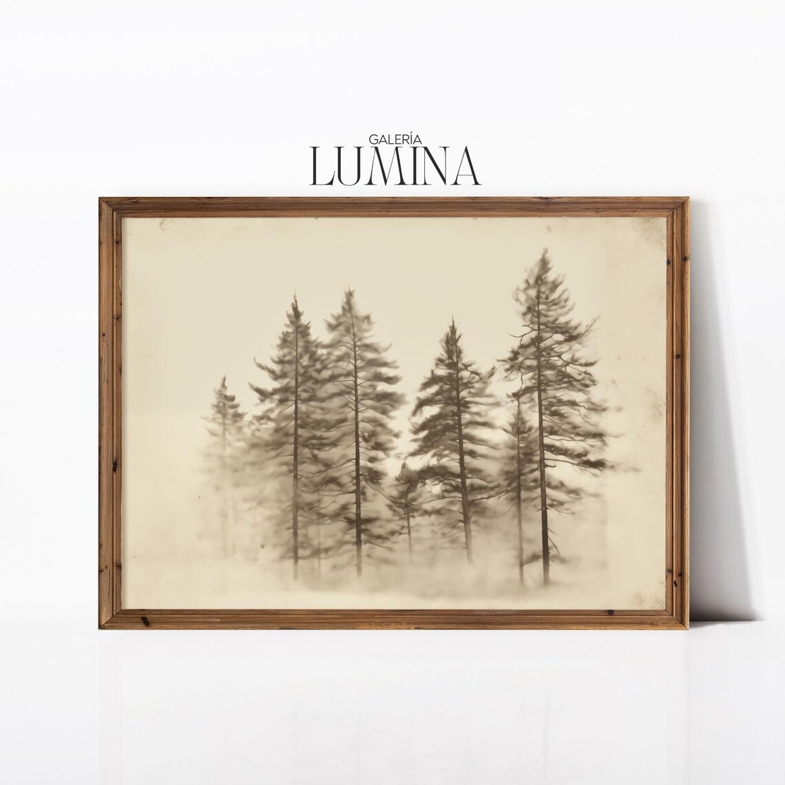Vintage Pine Tree Etching, Rustic Neutral Art Print