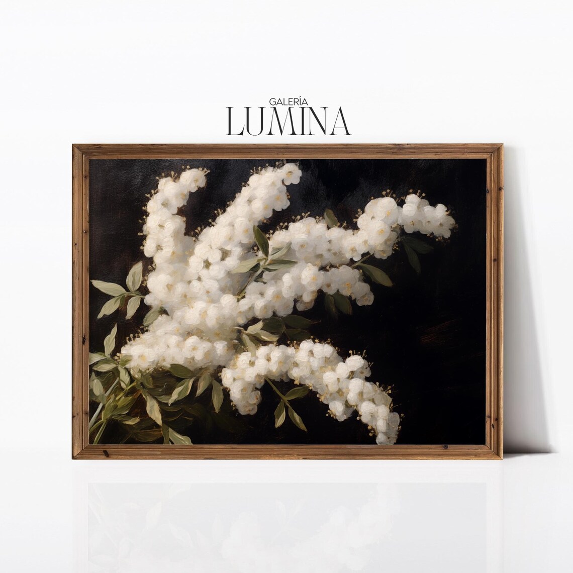 White Spirea Blossoms on Dark Background Vintage Floral Poster