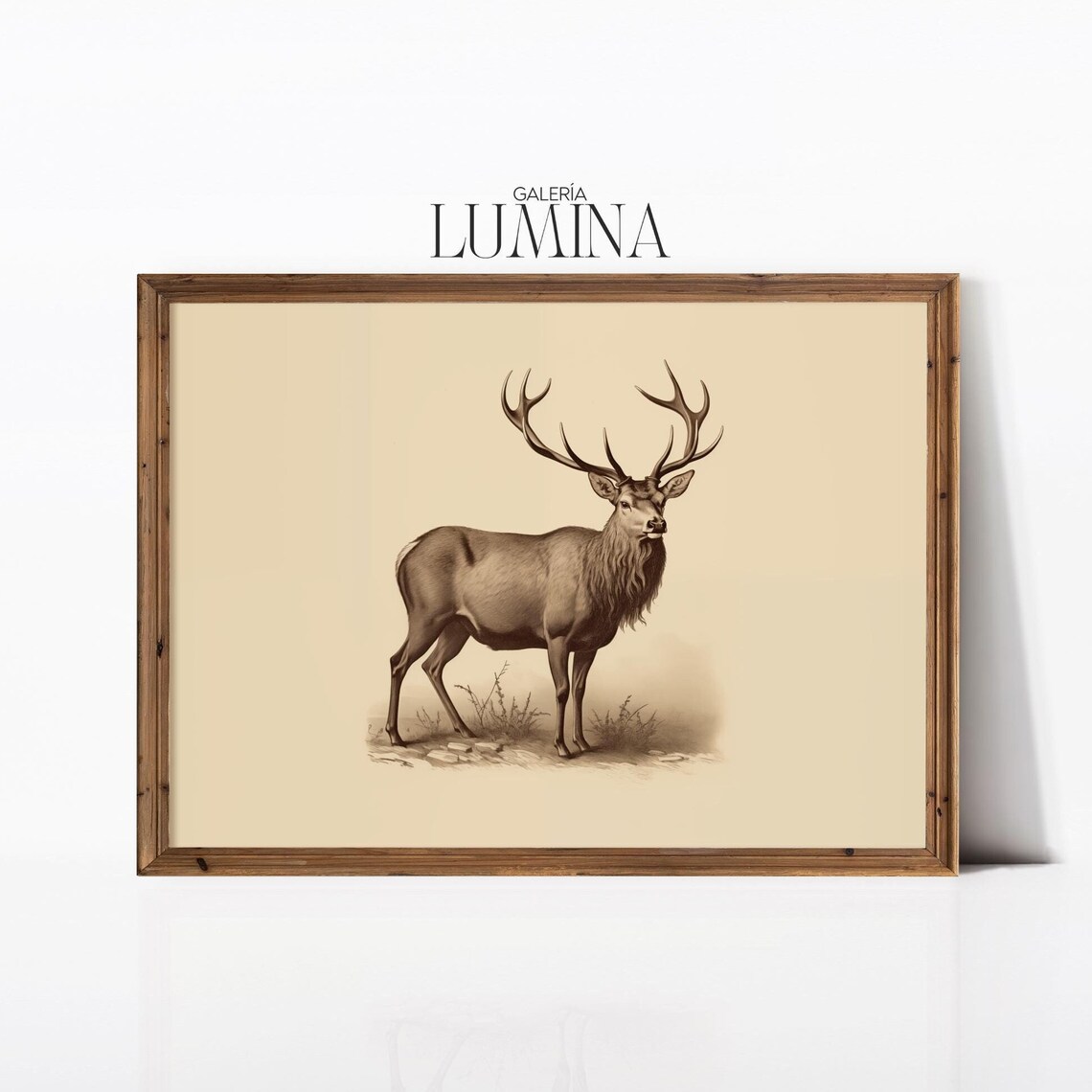 Vintage Stag Drawing Antique Deer Illustration Art Print