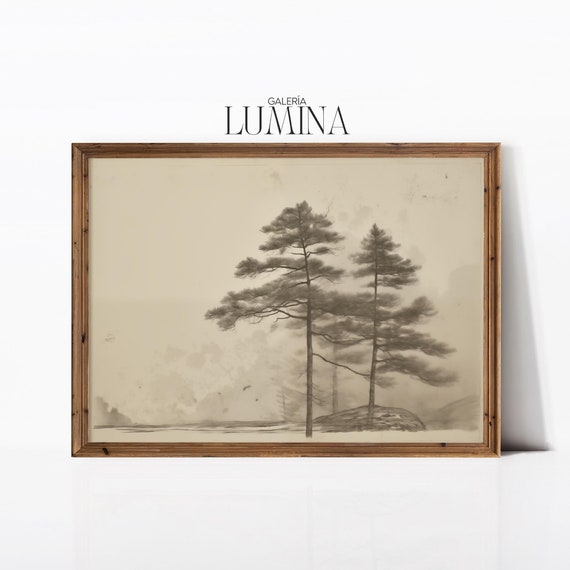 Pine Tree Sketch, Vintage Rustic Neutral Art Print