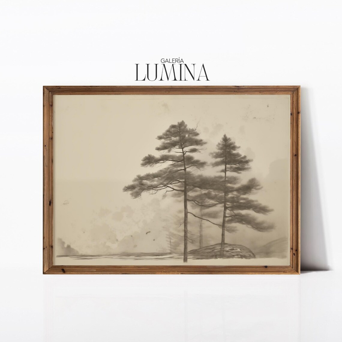 Pine Tree Sketch, Vintage Rustic Neutral Art Print
