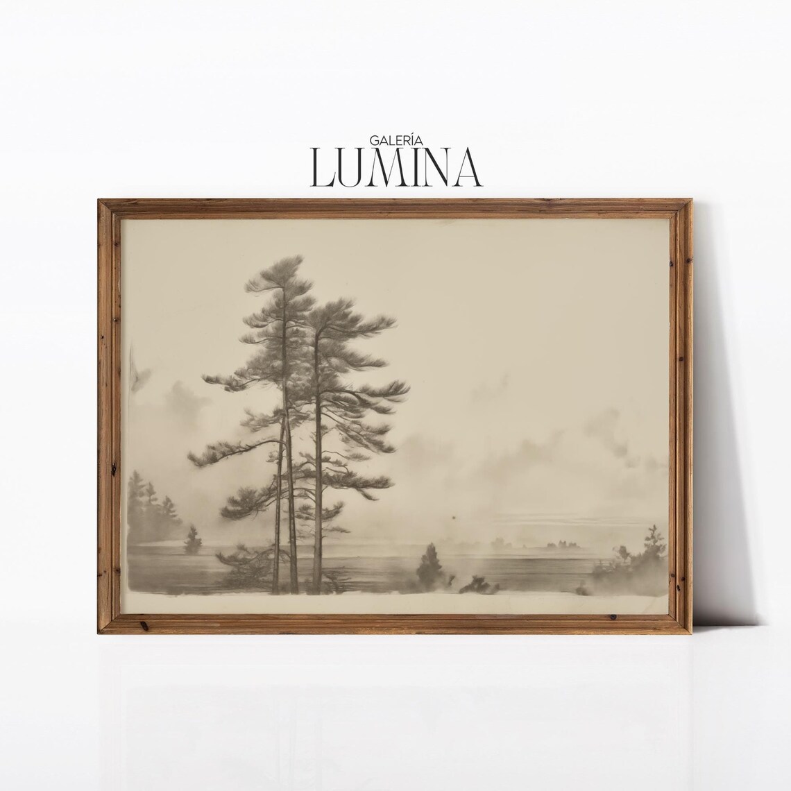 Pine Tree Vintage Rustic Sketch Drawing Art Print